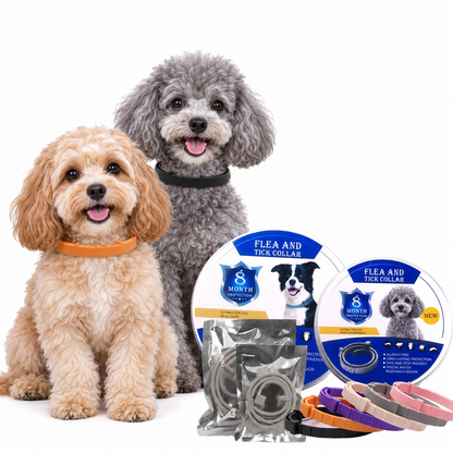 Flea & Tick Control Collar for Dogs & Cats — Everyday Comfort, Fewer Unwanted Guests