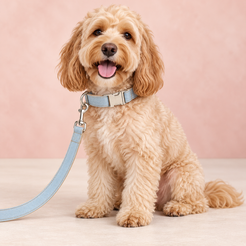 High Quality Blue Denim Leash for Pet Dogs