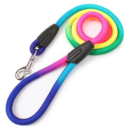 Walk in Color — Nylon Rope Dog Leash with a Comfortable Padded Handle