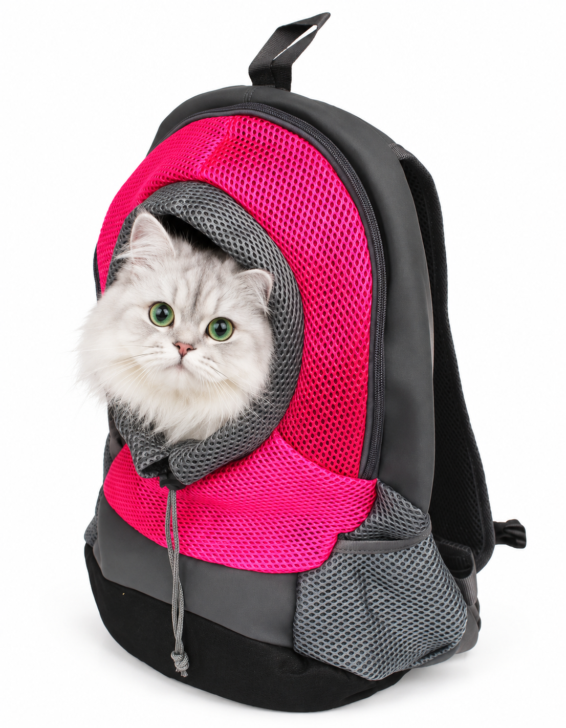 Adventure Together — Portable, Breathable Carrier Backpack for Cats & Small Dogs