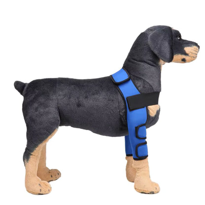 Dog Knee Brace and Leg Protector for Injury Recovery
