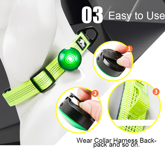 LED Dog Collar Light for Night Safety and Visibility