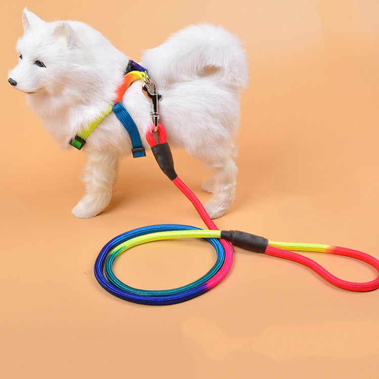 Walk in Color — Nylon Rope Dog Leash with a Comfortable Padded Handle