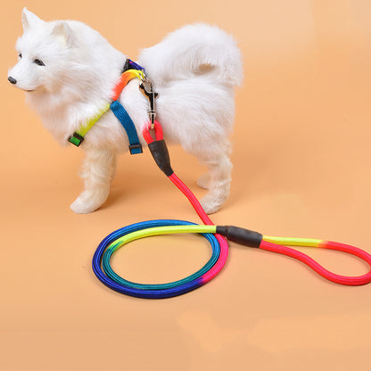 Walk in Color — Nylon Rope Dog Leash with a Comfortable Padded Handle