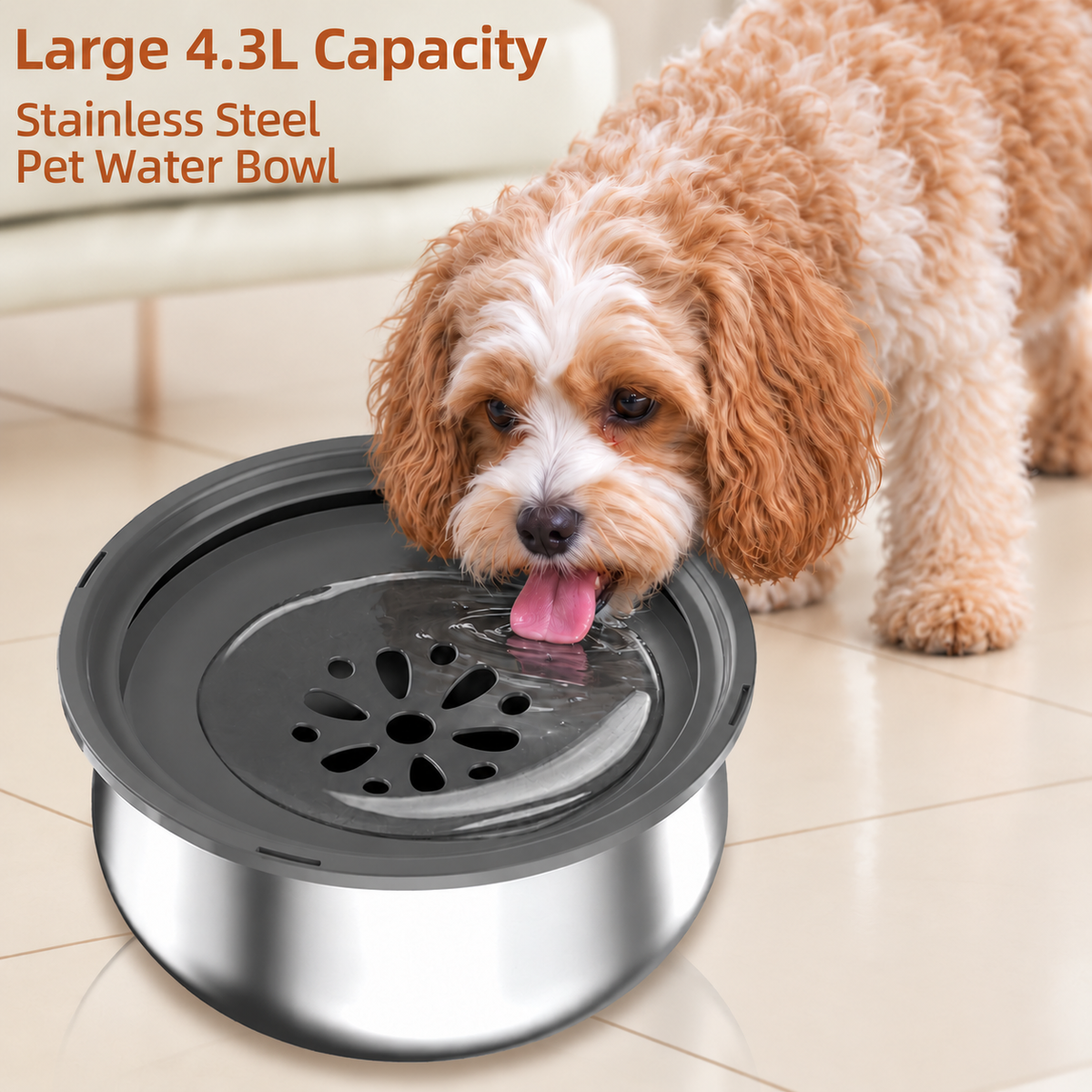 Stainless Steel Large Cat & Dog Water Bowl with Splash Guard