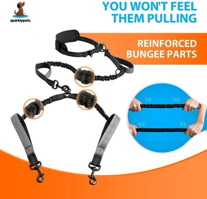 Pet Supplies Multi-Function Dog Bungee Leash & Belt