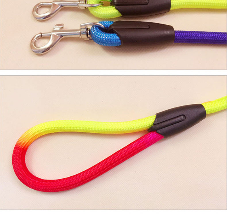 Walk in Color — Nylon Rope Dog Leash with a Comfortable Padded Handle