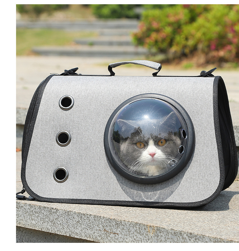 Little Adventures, Cozy Rides — Foldable Cat Carrier Backpack with Breathable Mesh
