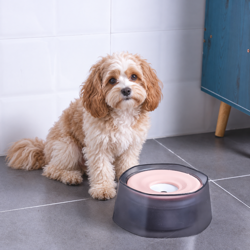 Splash-proof Pet Drinking Bowl for Cats and Dogs