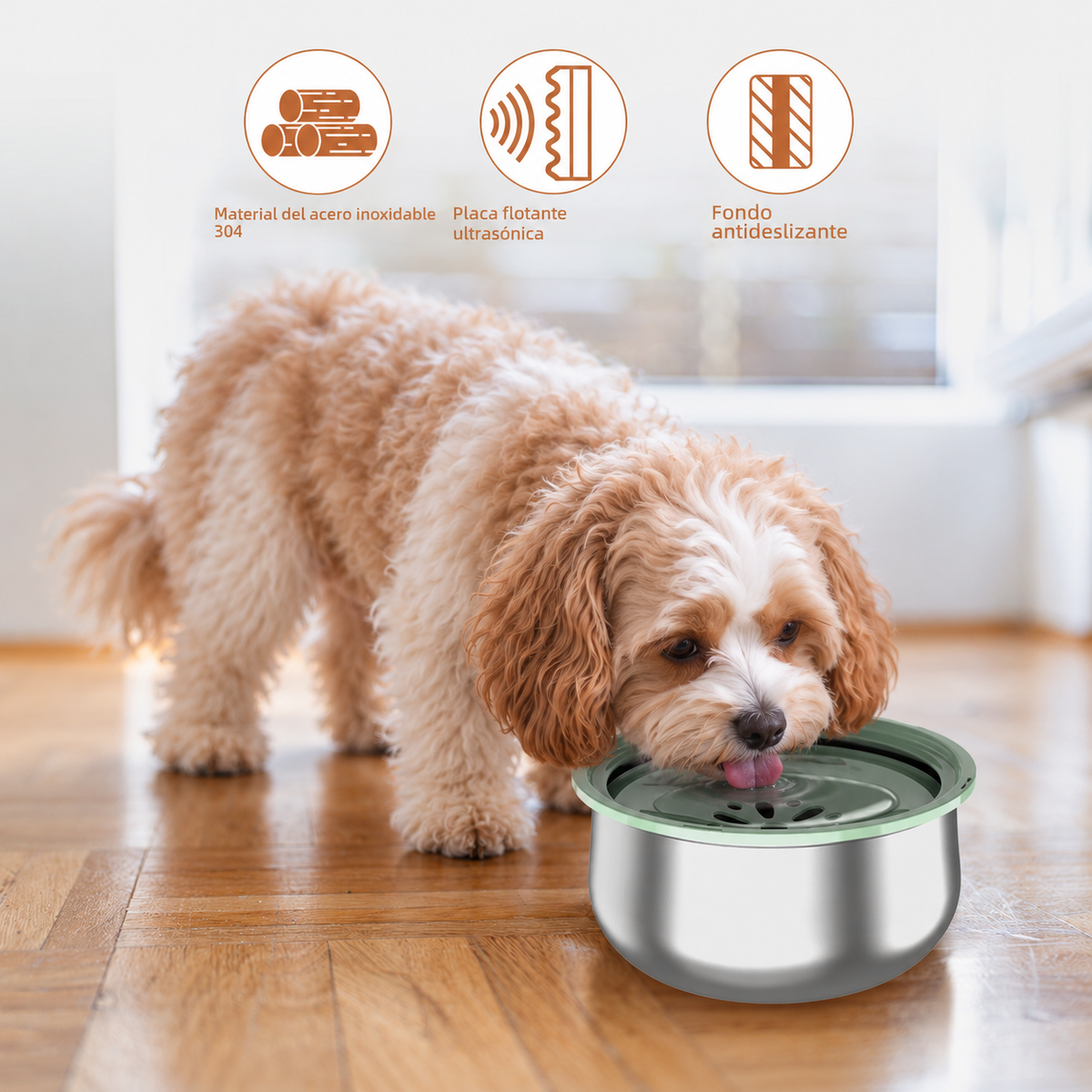 Stainless Steel Large Cat & Dog Water Bowl with Splash Guard