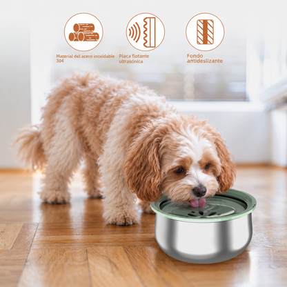 Stainless Steel Large Cat & Dog Water Bowl with Splash Guard